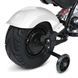 Мотоцикл M 6016AL-1 36V 1шт 2*18V9AH, 1*350W, USB, BLUETOOTH, TF, шкіра, білий mp-306653 фото 9