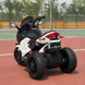 Детский мотоцикл BMW K1300S Bambi M 4274ELR-1, на радиоуправлении, белый, 2 мотора по 35W, EVA, кожа, MP3, USB, TF mp-335945 фото 5