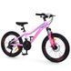 Велосипед PROFI BALANCE 20 д. BL-2001 алюм.рама 11",SKD85%,SHIMANO 21SP,швидкознім.кол.,промпідш.,рожевий mp-348063 фото