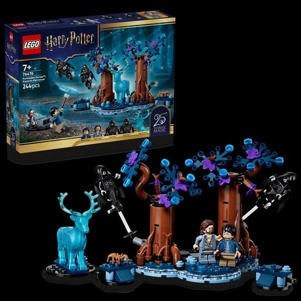 Конструктор LEGO&reg; Harry Potter&trade; Запретный лес: Экспекто Патронум, 244 детали afk-187001 фото