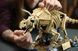 Конструктор LEGO&reg; Jurassic World Окаменелости динозавров: трицератопс, 1154 детали afk-187019 фото 8