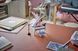 Конструктор LEGO&reg; Creator 3 в 1 Музыкальный декор &laquo;Фортепиано с котом&raquo;, 485 деталей afk-186896 фото 7