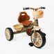 Велосипед 3-х колісний BS-81694 / BS-816-94 "Best Trike" igr-193690 фото 1