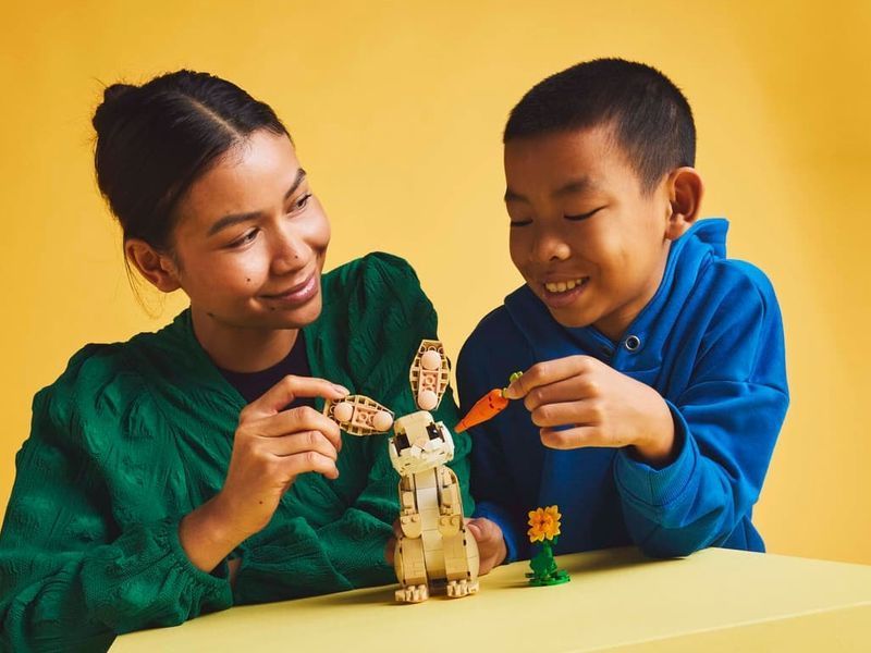 Конструктор 3 в 1 LEGO Creator Волшебный кролик, 326 деталей 31162 bab-395948 фото
