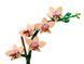 Конструктор LEGO Botanicals Мініорхідея, 274 деталі 10343 bab-395992 фото 2