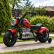 Мотоцикл M 6016AL-3 36V 1шт 2*18V9AH, 1*350W, USB, BLUETOOTH, TF, шкіра, червоний mp-306656 фото 11