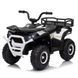 Квадроцикл M 6127EBLR-1(24V) 1шт на радіокеруванні, 4мот.25W, 1акум.24V4, 5AH, USB, TF, BLUETOOTH, муз., св., шкір.сид., EVA, білий mp-310277 фото