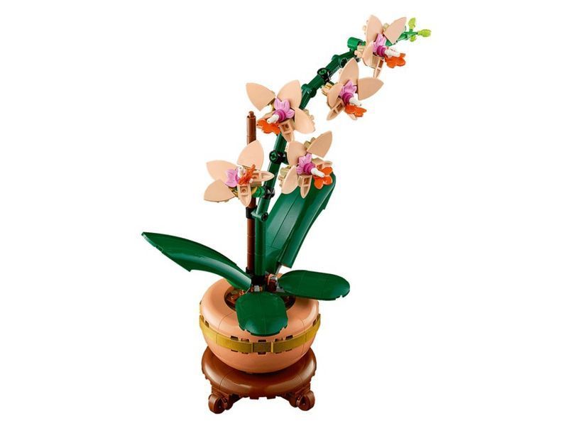 Конструктор LEGO Botanicals Мініорхідея, 274 деталі 10343 bab-395992 фото