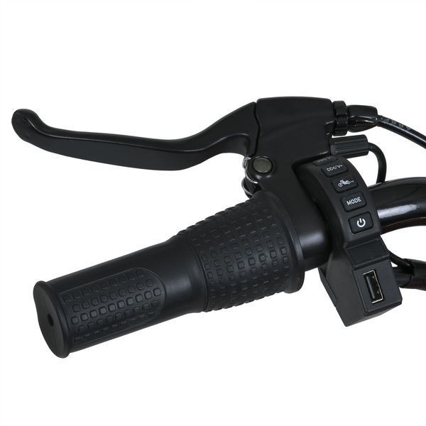 Мотоцикл M 6016AL-5 36V 1шт 2*18V9AH, 1*350W, USB, BLUETOOTH, TF, шкіра, зелений mp-306658 фото