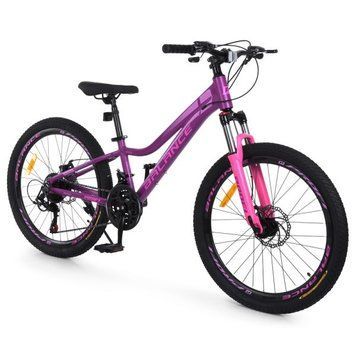 Велосипед PROFI BALANCE 24 д. BL-2406 алюм.рама 11",SKD85%,SHIMANO 21SP,швидкознім.кол.,промпідш.,сливовий mp-347985 фото