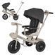 Велосипед триколісний TILLY FLASH T-3812 BLACK btl-113560 фото